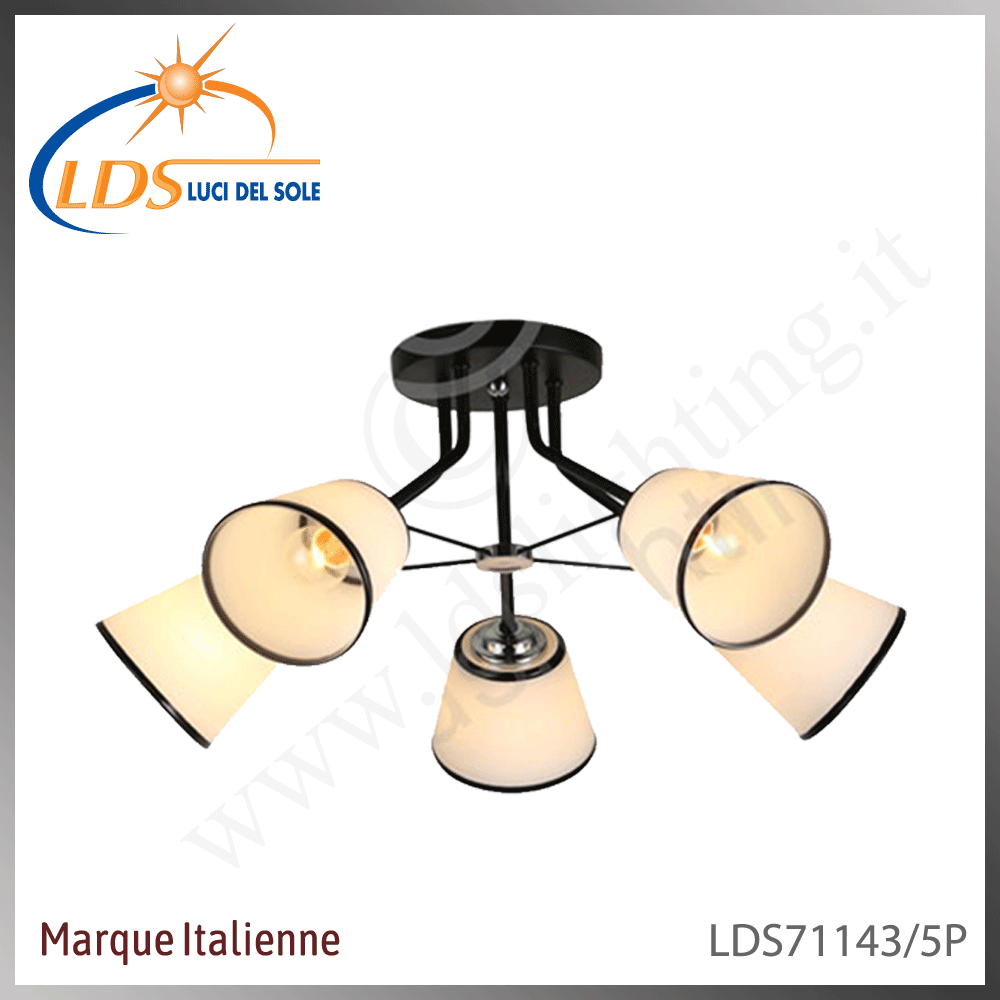 Suspension décorative 5 lampes – 5× douille E14 (petit culot) – en verre – finition noir