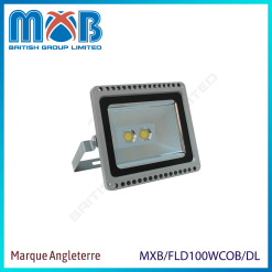 Projecteur LED