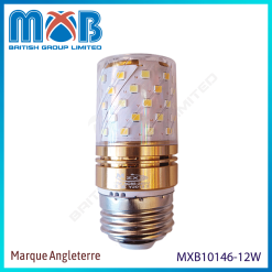 Ampoule LED – LED 12W – Douille E27