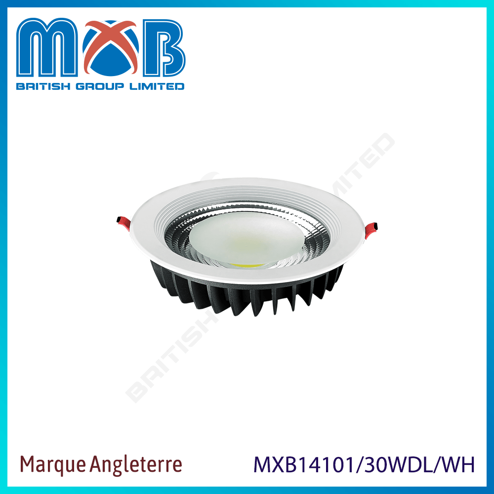 Downlight LED COB – LED 30W – finition blanc