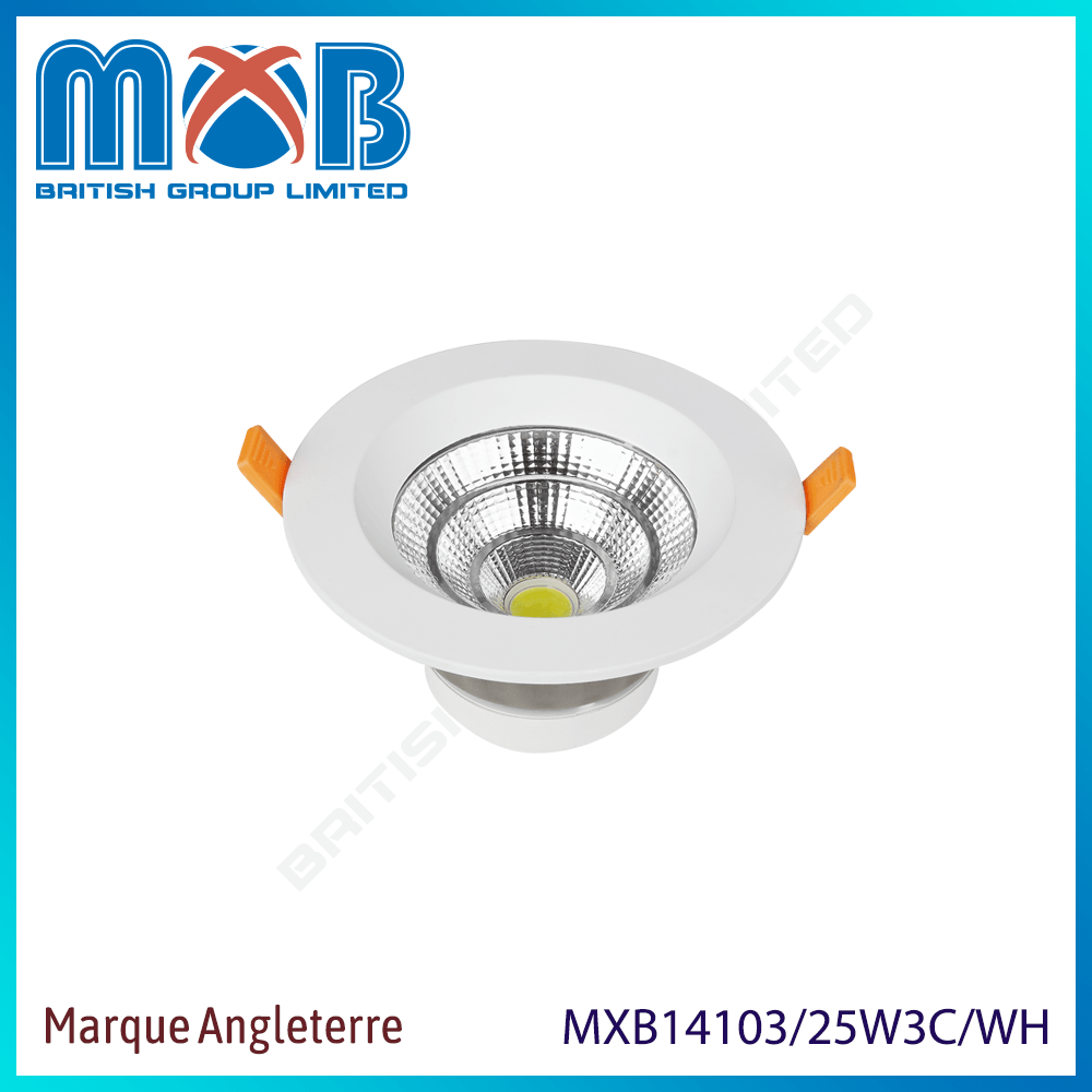 Downlight LED 3 couleurs – LED 25W – finition blanc