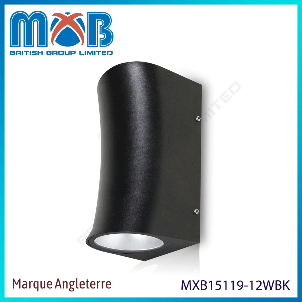 Luminaire LED extérieur – LED 12W – finition noir