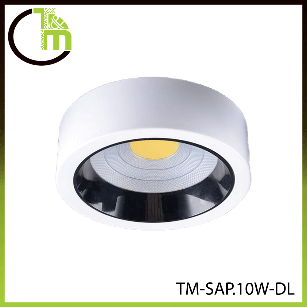 Spot LED COB – LED 10W – Blanc froid (6000–6500K) – finition blanc – TM